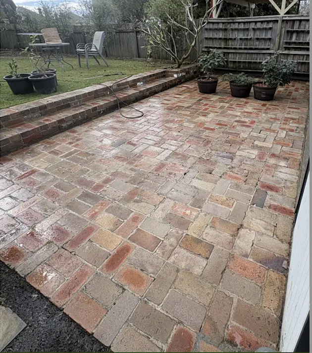 Mossy brick patio restored after
