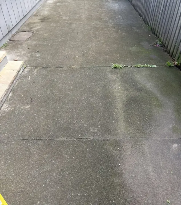 Mouldy concrete side driveway cleaned before