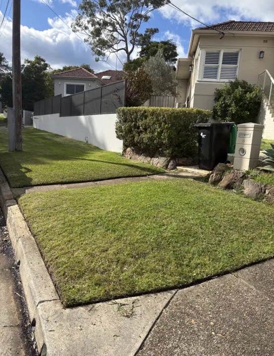Lawn mowing and edging job in Sydney