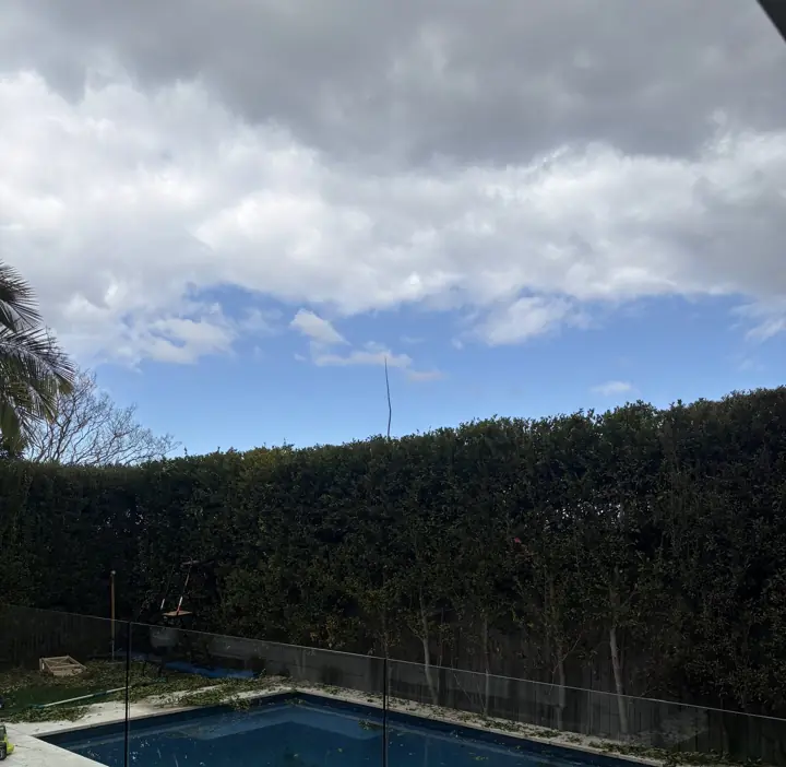 Pool-side privacy hedge trimmed square after