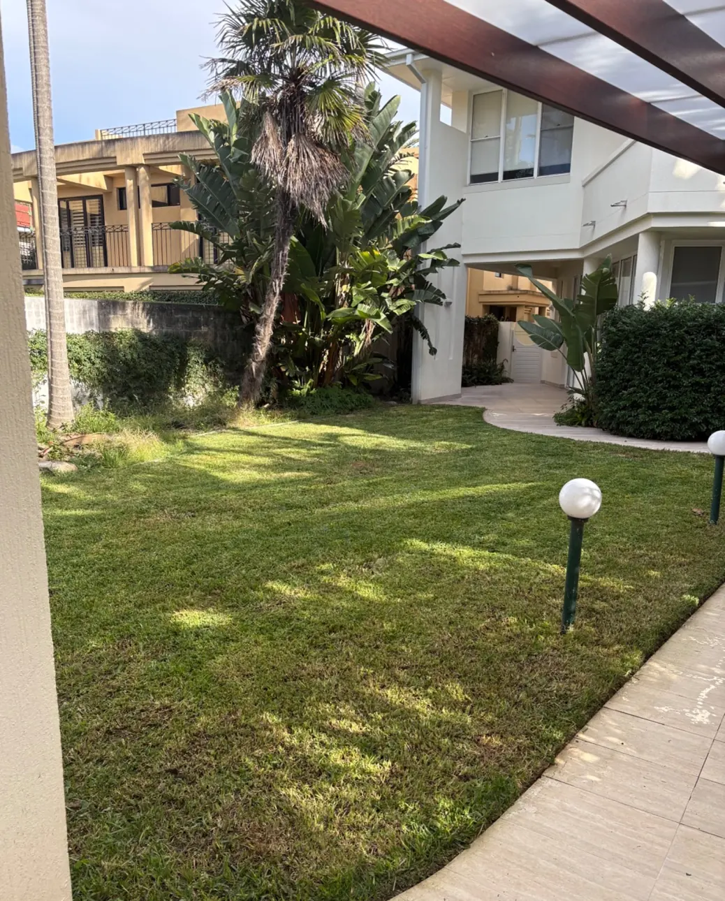 Overgrown lawn mowed and edged after