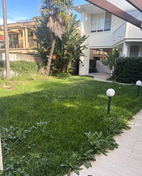 Overgrown lawn mowed, weeded and edged before