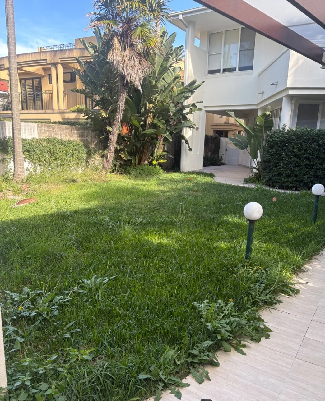 Overgrown lawn mowed and edged before