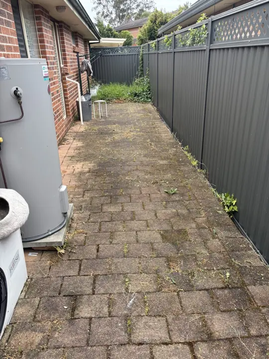 Brick side path cleaned back to red before